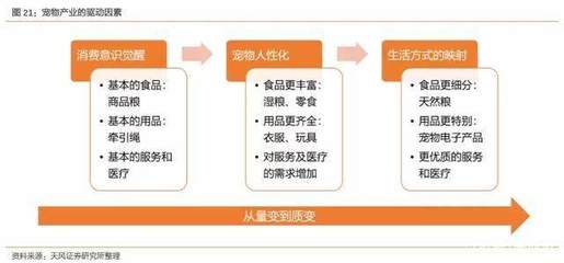 国内渠道将长期以电商和宠物店主导,消费者教育是建立品牌最优解